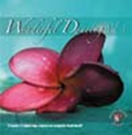 Picture of Wonderful Dancing Vol.3 (CD)