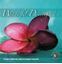 Bild von Wonderful Dancing Vol.3 (CD)