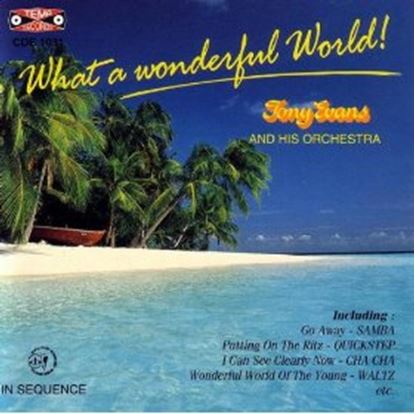 Immagine di What A Wonderful World (CD)