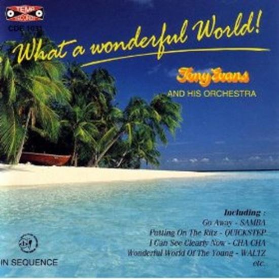 Picture of What A Wonderful World (CD)